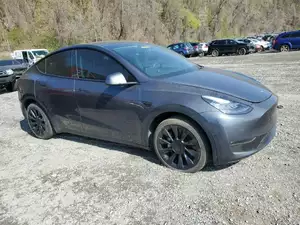 Tesla Model Y DM